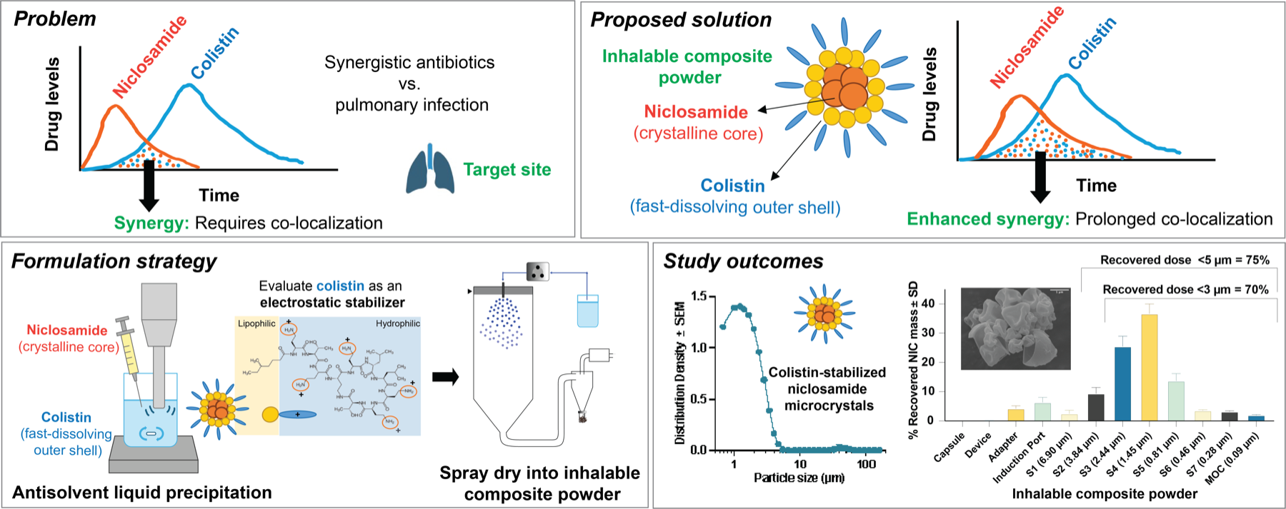 Graphical abstract showing colistin-stabilized niclosamide microcrystals engineered into an inhalable composite powder to prolong drug colocalization.
