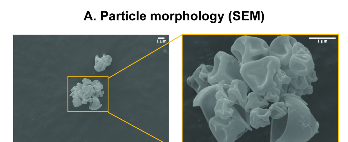Scanning electron micrograph of spray-dried niclosamide-colistin composite particles showing wrinkled, collapsed morphology.